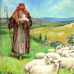 shepherd_good